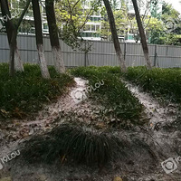 �ֵ������׷�ʱ  ��������������Ǹ���ô�죿