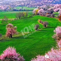 ��Ҳ�Ҵң�ȥҲ�Ҵҡ�