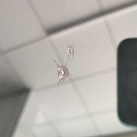 ���������޸� ����