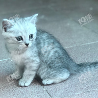 è������Ҫ����