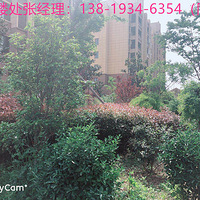 2020�����γ�˫�μ�԰�������Բ������¥�㡢�ܶ��˶���֪��.