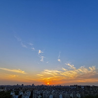 �������������ֳֻ�ΪP30Pro����