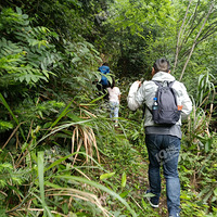 �����ŵ�