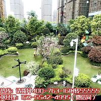 ͩ�硾�̹�԰�˺���������¥���绰���۸񡢻��ͣ�