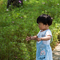 �з��������Ϻ��Ƴ�