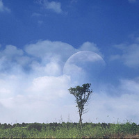 Ϧ������