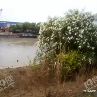 ����һ����������������Ӫ�ȣ�������ԭ��Ȼ�ǡ���