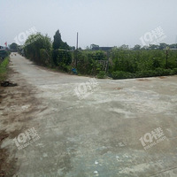 �ͳ���������