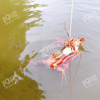 �����ȥ������