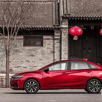 ����ʹ���ѡ�񡪡���³��RS