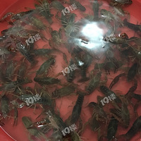 �Լ����֣�������ʳ