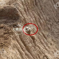 �����ˣ����˷���һ������Ĺ��Ⱥ��1000��ƽ���ס�