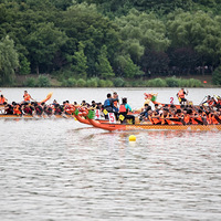 2019���˶����������