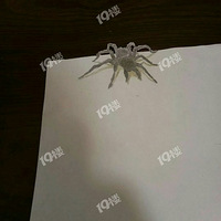 ��֪ʶ~������ȱ����������������