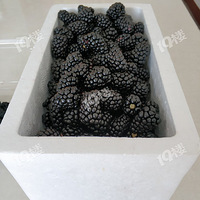 ��������������������ֲ ��ݮˮ�������غ�ݮ���У����ý�������