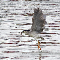 ��һ�㳡������