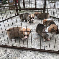 �����»�4��1ĸ����ϲ������