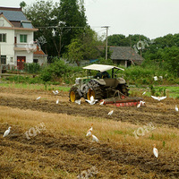 �ȼ�Ѽ��Ҫ���Ұ������