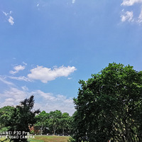 ��д�ֻ���Ӱ����