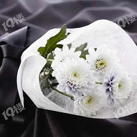 ��𣡼���42��Ůҽ���������� ���������������