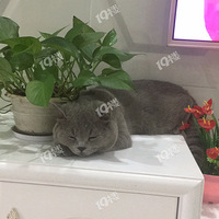 ����һ��