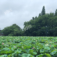 ���κ�һ��������������˺û���Ҳ��