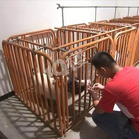 �������С���Ӵ��µ���ְҵ������������򽻵�