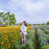 ����������