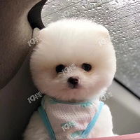 �����Ҹ���������ֵ�ߡ�����С���С���û�к��ʵ��׼�ѽ����