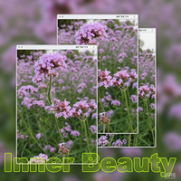 Ҧ�ҵ��ջ�һ����