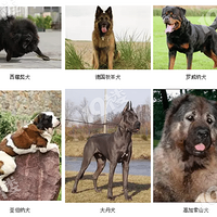 �ذ������˿�ʼ��������35�ֹ��ˣ�Υ����û��Ȯֻ��Ҫ���