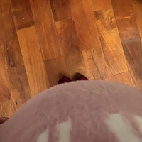 �����䱦���������ı������жǡ���¼�Ҽ�Сӣ��