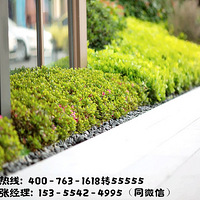 ������ɽ��������-������ɽ�������һ�ӭ�����ٷ���վ