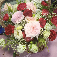 �нӻ����������ֻ��첼��