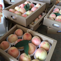 ����ˮ���ҳ�����