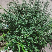 ���ϵ��źúÿ�