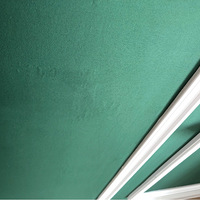 ǽ����ƽ˭������