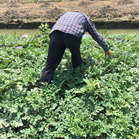 ¥���Ǻã����ϰֽ������˵����ϣ����࣬��