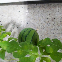 ˮ��̫���Լ����֡�