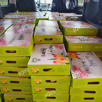 ���ŵ�ˮ��������