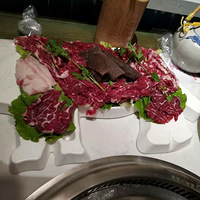 �������ֲ��Ƽ����ֲ����ţ������ţ�����