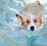 ������ΪTA ,����һ������ɥ�����������¼ҳ�һ��Ҫ���ӣ�