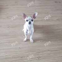 �������Ҹ�������