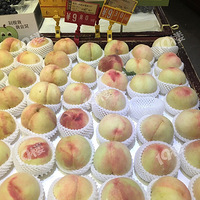 ��������ˮ���������Ʒ