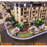 ���������ý��ϡ����������缴��98�ۡ�+���ڲ��ۿۡ�??