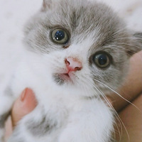 ��è�����ף����ۡ�