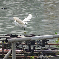 �����ռ�