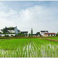 ������Ұ