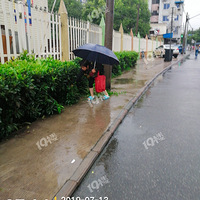 ����һ��ð����Ӳݣ��е�ж�����