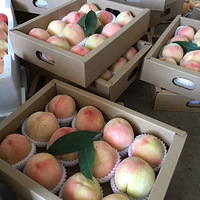 �ڶ��������Լ�ˮ�������пڸг���